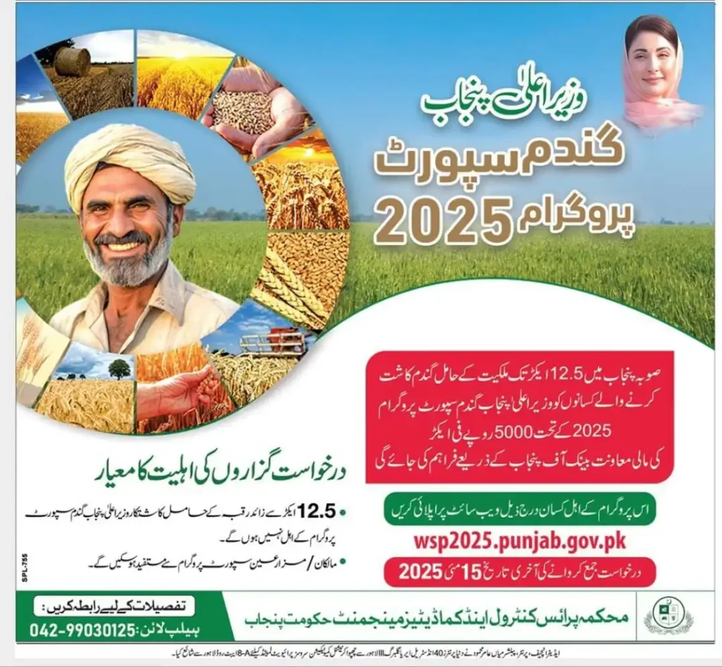 CM Punjab Wheat Support Program 2025 Advertisement