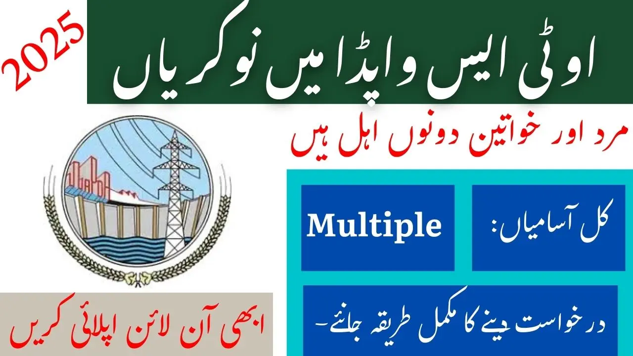 OTS WAPDA Jobs