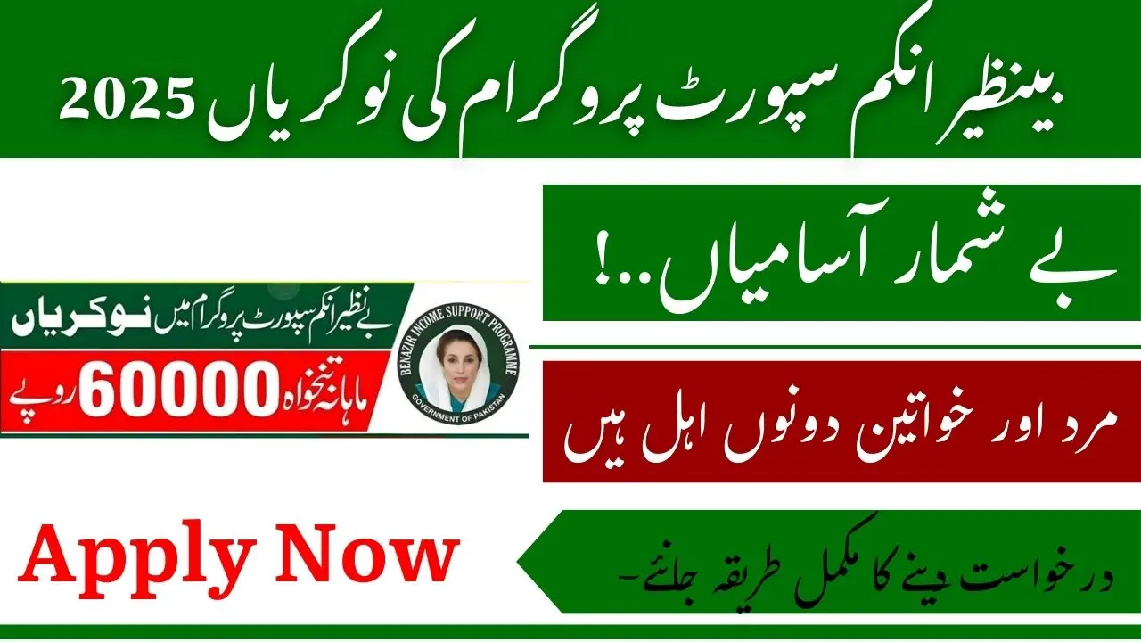 How To Apply For BISP Jobs 2025