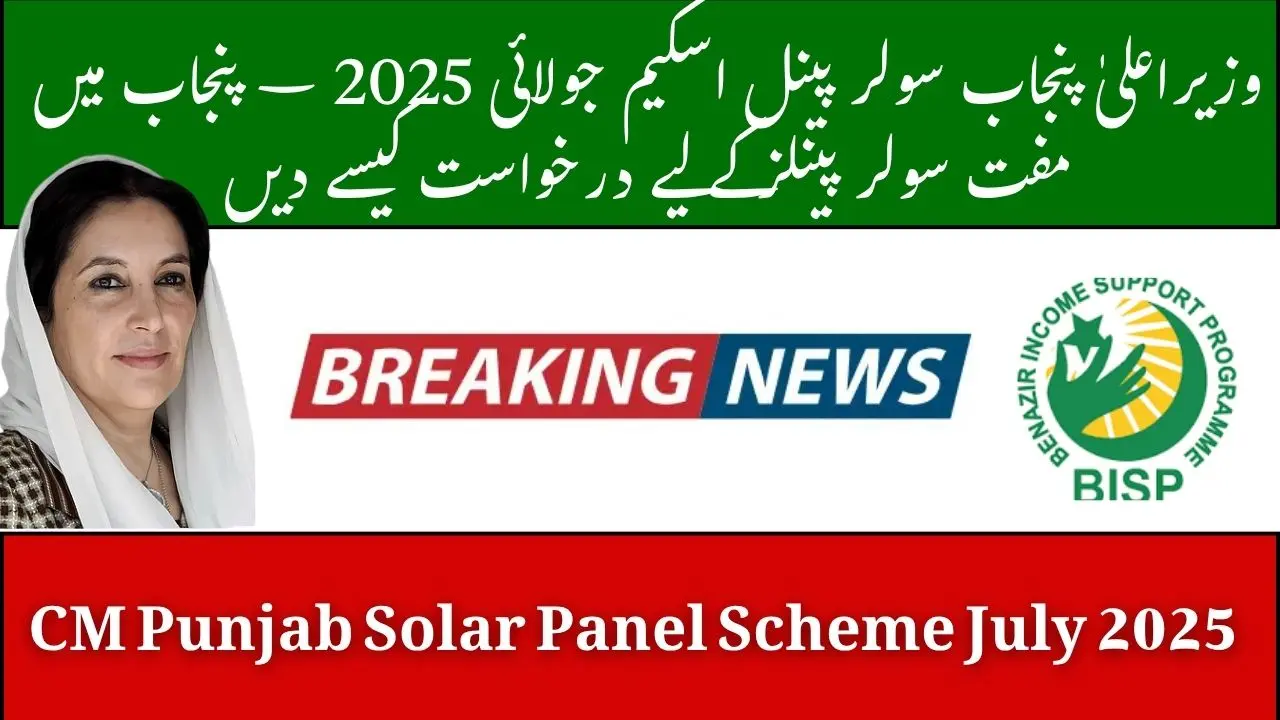 CM Punjab Solar Panel Scheme