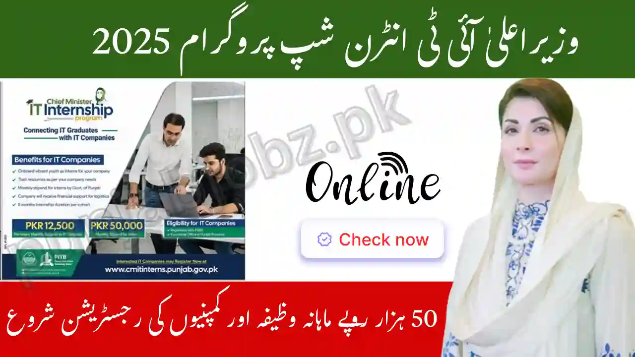 CM IT Internship Program 2025