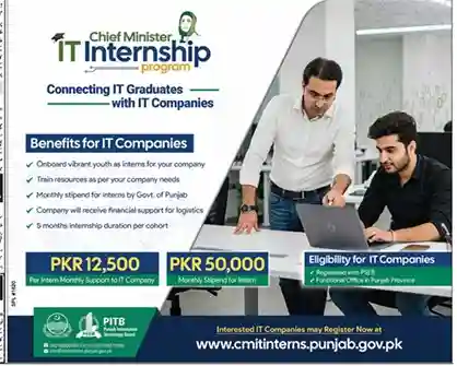CM IT Internship Program 2025
