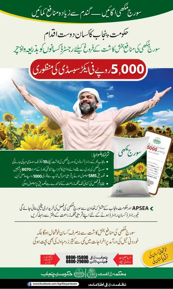 CM Punjab Sunflower Cultivation Subsidy 2025