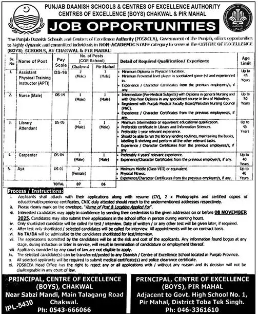 Punjab Daanish Schools Jobs 2025
